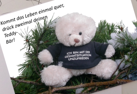 Draufsicht: Meckerteddy-Postkarte