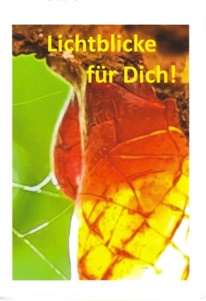 Titelbild: Lichtblicke